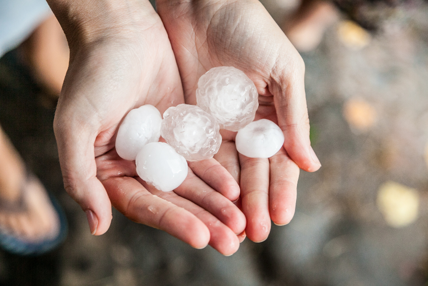 Tips to Avoid Costly Hail Damage Repairs